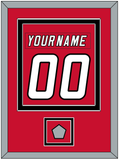 Carolina Nameplate & Number (Back) Combined, With Stanley Cup Champions Patch - Home Red (2000-2007) - Double Mat 2