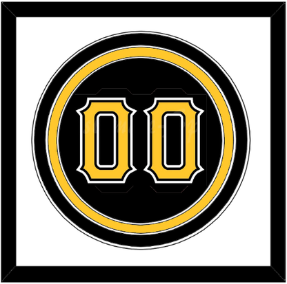 Pittsburgh Full-Size Number