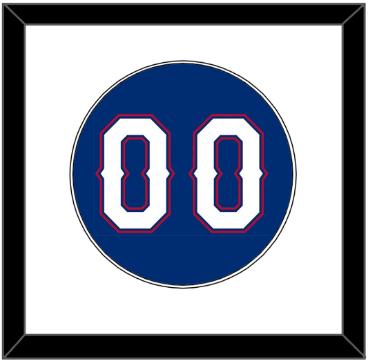 Texas Number - Alternate Blue (2016-2019) - Essential Tier 1