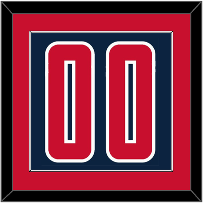 Washington Number - Blue Icon - Essential Tier 2