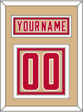 Denver Nameplate & Number (Back) - Alternate Gold - Triple Mat 2