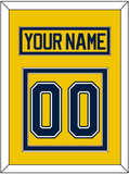 Michigan Nameplate & Number (Back) - Alternate Maize (2021-2023) - Double Mat 2