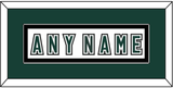 Michigan State Hockey Nameplate - Alternate Home White (2006-2007) - Single Mat 2