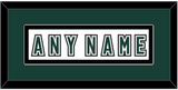 Michigan State Hockey Nameplate - Alternate Home White (2006-2007) - Single Mat 2