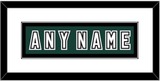 Michigan State Hockey Nameplate - Alternate Road Green (2006-2007) - Single Mat 1