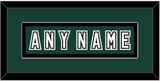 Michigan State Hockey Nameplate - Alternate Road Green (2006-2007) - Single Mat 2