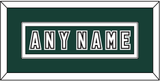 Michigan State Hockey Nameplate - Alternate Road Green (2006-2007) - Single Mat 3
