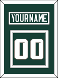 Michigan State Hockey Nameplate & Number (Back) - Road Green (2006-2007) - Double Mat 3