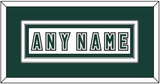 Michigan State Hockey Nameplate - Alternate Home White (2006-2007) - Double Mat 3