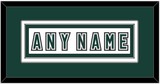 Michigan State Hockey Nameplate - Alternate Home White (2006-2007) - Double Mat 3