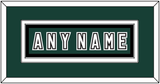 Michigan State Hockey Nameplate - Alternate Road Green (2006-2007) - Double Mat 2