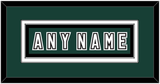 Michigan State Hockey Nameplate - Alternate Road Green (2006-2007) - Double Mat 2
