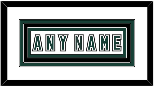 Michigan State Hockey Nameplate - Alternate Home White (2006-2007) - Premier Tier 1