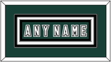 Michigan State Hockey Nameplate - Alternate Road Green (2006-2007) - Triple Mat 1