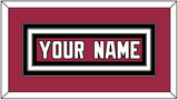 Arizona Nameplate - Home Red (2015-2022) - Triple Mat 2