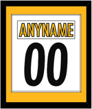 Pittsburgh Nameplate & Number (Back) Combined - Road White - Single Mat 2