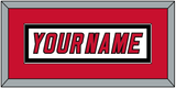 Carolina Nameplate - Home/Road White (2000-2007) - Single Mat 2