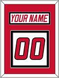 Carolina Nameplate & Number (Back) - Home White (1997-2000) - Double Mat 2