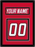 Carolina Nameplate & Number (Back) - Road Red (1997-2000) - Double Mat 2