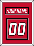 Carolina Nameplate & Number (Back) - Road Red (1997-2000) - Double Mat 2
