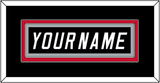 Carolina Nameplate - Alternate Black (2008-2017) - Double Mat 2