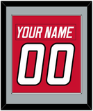 Carolina Nameplate & Number (Back) Combined - Road Red (1997-2000) - Single Mat 3