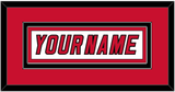 Carolina Nameplate - Home/Road White (2000-2007) - Double Mat 2