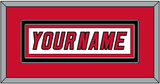 Carolina Nameplate - Home/Road White (2000-2007) - Double Mat 2