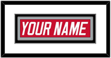 Carolina Nameplate - Road Red (1997-2000) - Double Mat 1