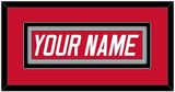 Carolina Nameplate - Road Red (1997-2000) - Double Mat 2
