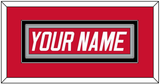 Carolina Nameplate - Road Red (1997-2000) - Double Mat 2