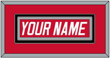 Carolina Nameplate - Road Red (1997-2000) - Double Mat 2