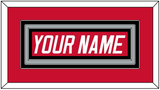 Carolina Nameplate - Road Red (1997-2000) - Triple Mat 2