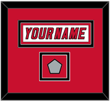 Carolina Nameplate & 2006 Stanley Cup Finals Patch - Road White Jersey (2000-2007) - Double Mat 2