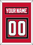 Chicago Nameplate & Number (Back) - Home Red (2007-2017) - Double Mat 2