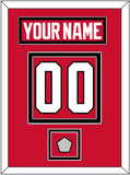 Chicago Nameplate & Number (Back) With Stanley Cup Champions Patch - Home Red (2007-2017) - Double Mat 2
