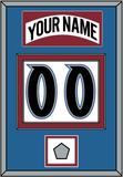 Colorado Nameplate & Number (Back) With Stanley Cup Finals Patch - Home White (1995-1996) - Double Mat 3