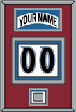 Colorado Nameplate & Number (Back) With Stanley Cup Finals Patch - Home White (1995-1996) - Triple Mat 3