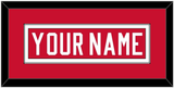 Detroit Nameplate - Road Red (1977-1982) - Single Mat 1