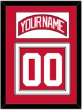 Detroit Nameplate & Number (Back) - Home Red - Double Mat 1