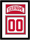 Detroit Nameplate & Number (Back) - Road White (2007-2017) - Double Mat 1