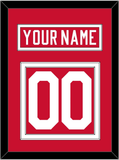 Detroit Nameplate & Number (Back) - Road Red (1977-1982) - Double Mat 1