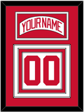 Detroit Nameplate & Number (Back) - Road White (2007-2017) - Triple Mat 1