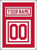Detroit Nameplate & Number (Back) - Home White (1977-1982) - Triple Mat 1