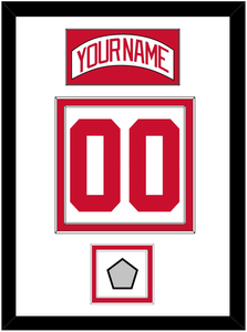 Detroit Nameplate & Number (Back) With Stanley Cup Finals Patch - Road White (2007-2017) - Double Mat 1