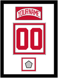 Detroit Nameplate & Number (Back) With Stanley Cup Finals Patch - Road White (2007-2017) - Double Mat 1