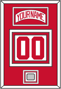 Detroit Nameplate & Number (Back) With Stanley Cup Finals Patch - Road White (2007-2017) - Triple Mat 1