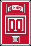 Detroit Nameplate & Number (Back) With 2008 Stanley Cup Champions Patch - Road White (2007-2017) - Triple Mat 1