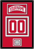 Detroit Nameplate & Number (Back) With 2008 Stanley Cup Champions Patch - Road White (2007-2017) - Triple Mat 1