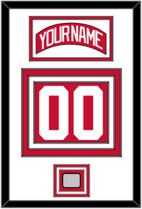 Detroit Nameplate & Number (Back) With Stanley Cup Finals Patch - Home Red (2007-2017) - Triple Mat 1